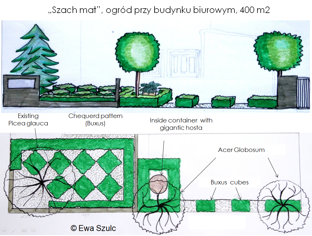 projekt-ogrodu-6
