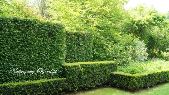 ogrody-sericourt-14