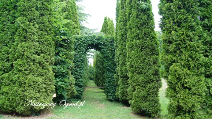 ogrody-sericourt-6