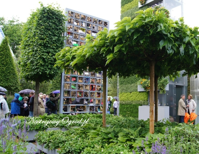 chelsea-flower-show-2011-1