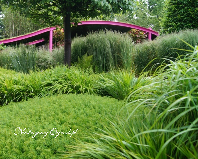 chelsea-flower-show-2011-10