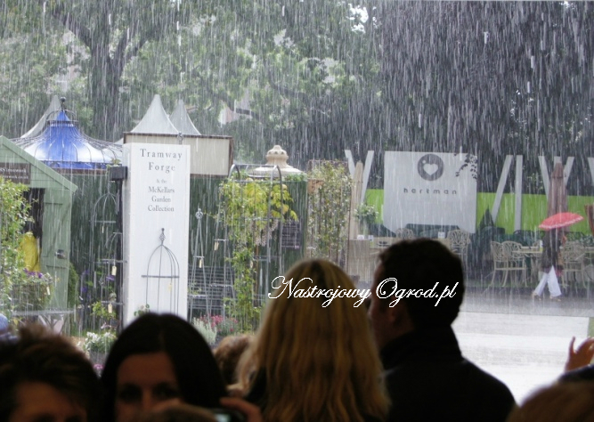 chelsea-flower-show-2011-11