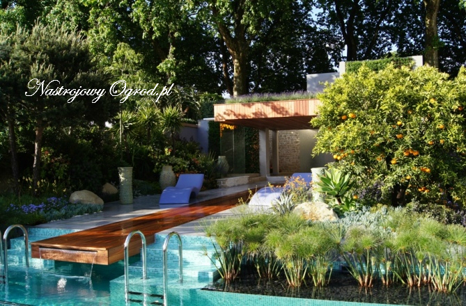 chelsea-flower-show-2011-16