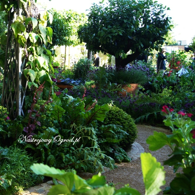 chelsea-flower-show-2011-22