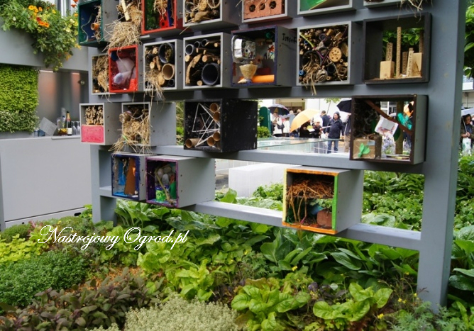 chelsea-flower-show-2011-3